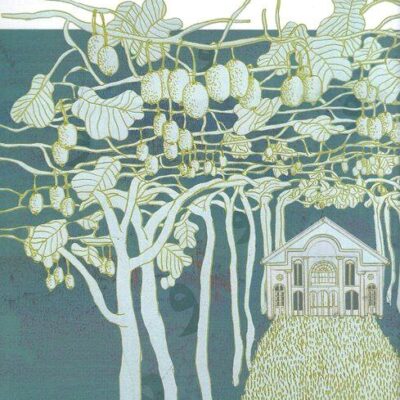 کتاب چشم های اینشتین ساناز اسدی نشر چشمه