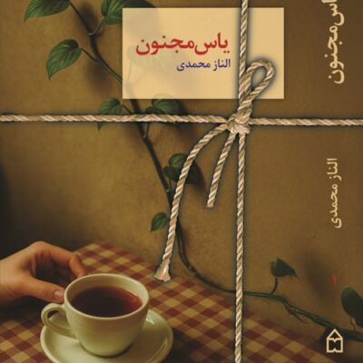 کتاب یاس مجنون الناز محمدی نشر سخن