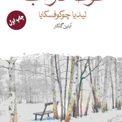 کتاب غوطه در آب ترجمه آبتین گلکار نشر ماهی