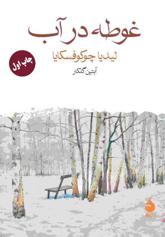 کتاب غوطه در آب ترجمه آبتین گلکار نشر ماهی