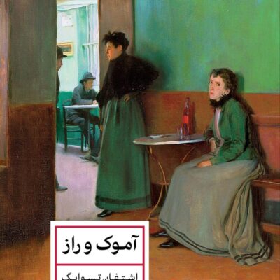 کتاب آموک و راز نوشته اشتفاین تسوایگ نشر پارسه