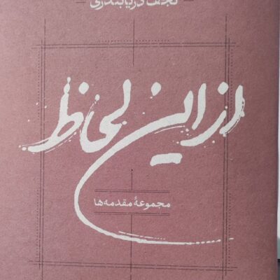 کتاب مجموعه مقدمه ها از این لحاظ نجف دریابندری نشر کارنامه