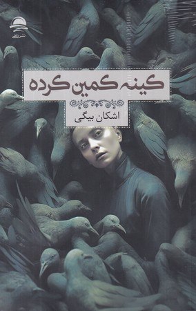 کتاب کینه کمین کرده اشکان بیگی نشر داهی