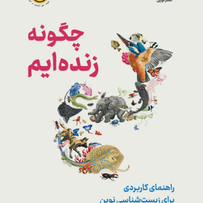 کتاب چگونه زنده ایم نوشته فیلیپ بال نشر نوین