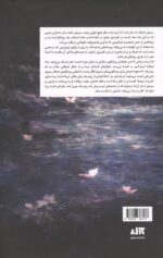 کتاب شوالیه و شاپرک نوشته ریچل گیلیگ نشر مجازی