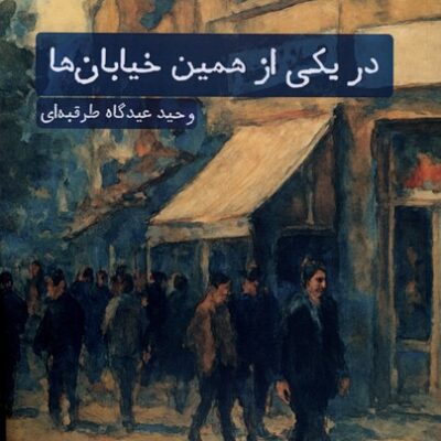 کتاب در یکی از همین خیابان ها اثر وحید عیدگاه طرقبه ای نشر سنگلج
