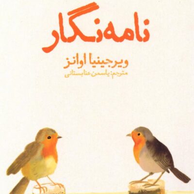 کتاب نامه نگار نوشته ویرجینیا اوانز نشر نون