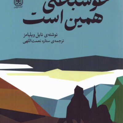 کتاب خوشبختی همین است نایل ویلیامز نشر سرزمین