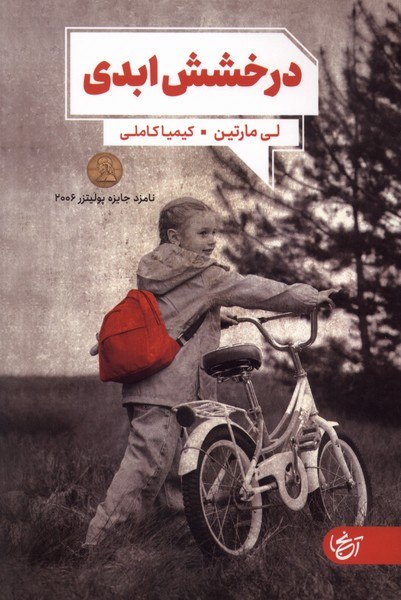 کتاب درخشش ابدی اثر لی مارتین نشر آنجا