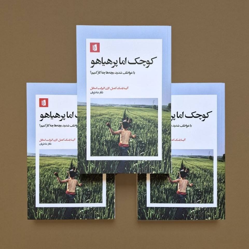 photo_۲۰۲۶-۰۸-۱۱_۱۴-۴۱-۰۶ کتاب کوچک اما پر هیاهو نگار شاطریان نشر بیدگل