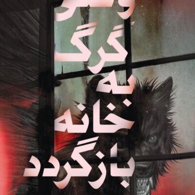کتاب وقتی گرگ به خانه بازگردد نوشته نت کسدی نشر داهی