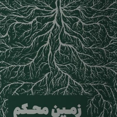 کتاب زمین محکم برنه براون نشر مون