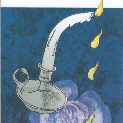 کتاب پاییزهایی که خواهند آمد مجید برزگر نشر چشمه